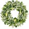 Green Eucalyptus Leaf Wreath, 24 Inch Artificial Spring Summer Wreaths for Front Door Decor Boxwood Wreath with Big Berries, Farmhouse Greenery Wreath Outside Year Round - Indoor/Outdoor